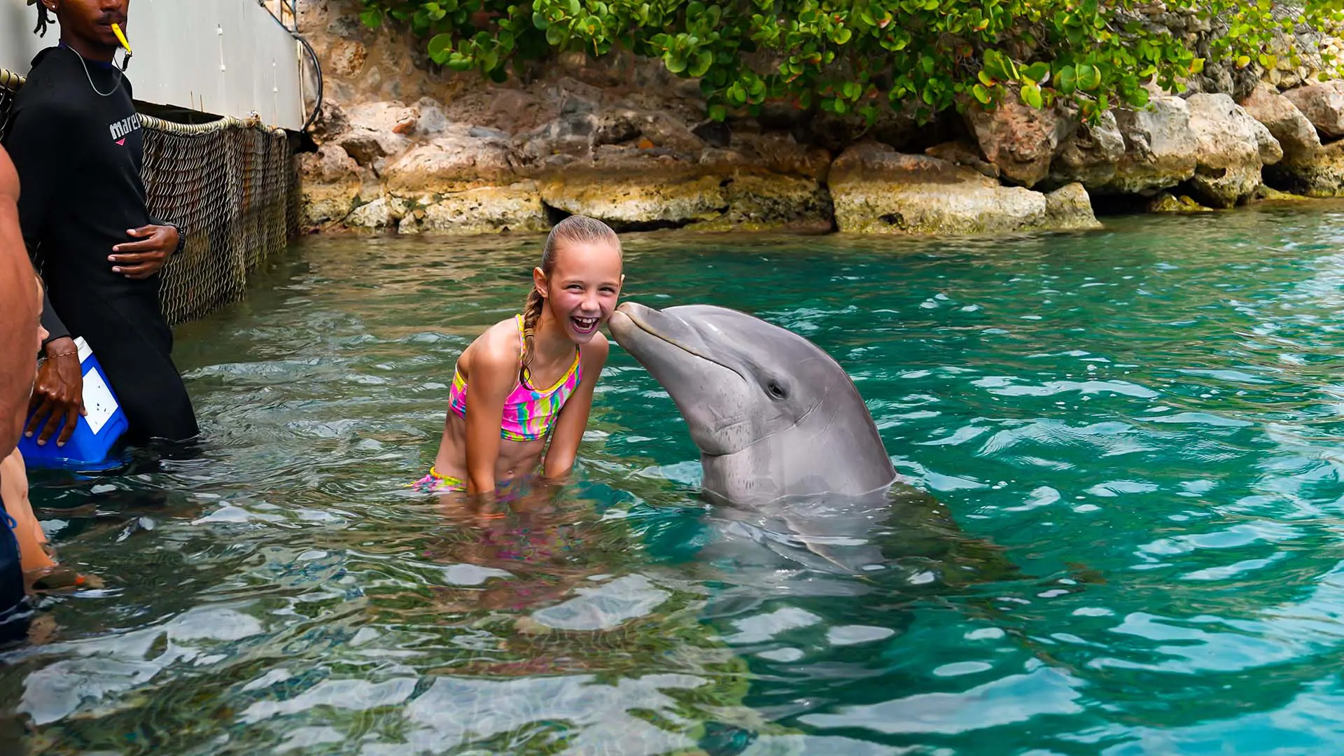 Dolphin_encounter_1_verkleind